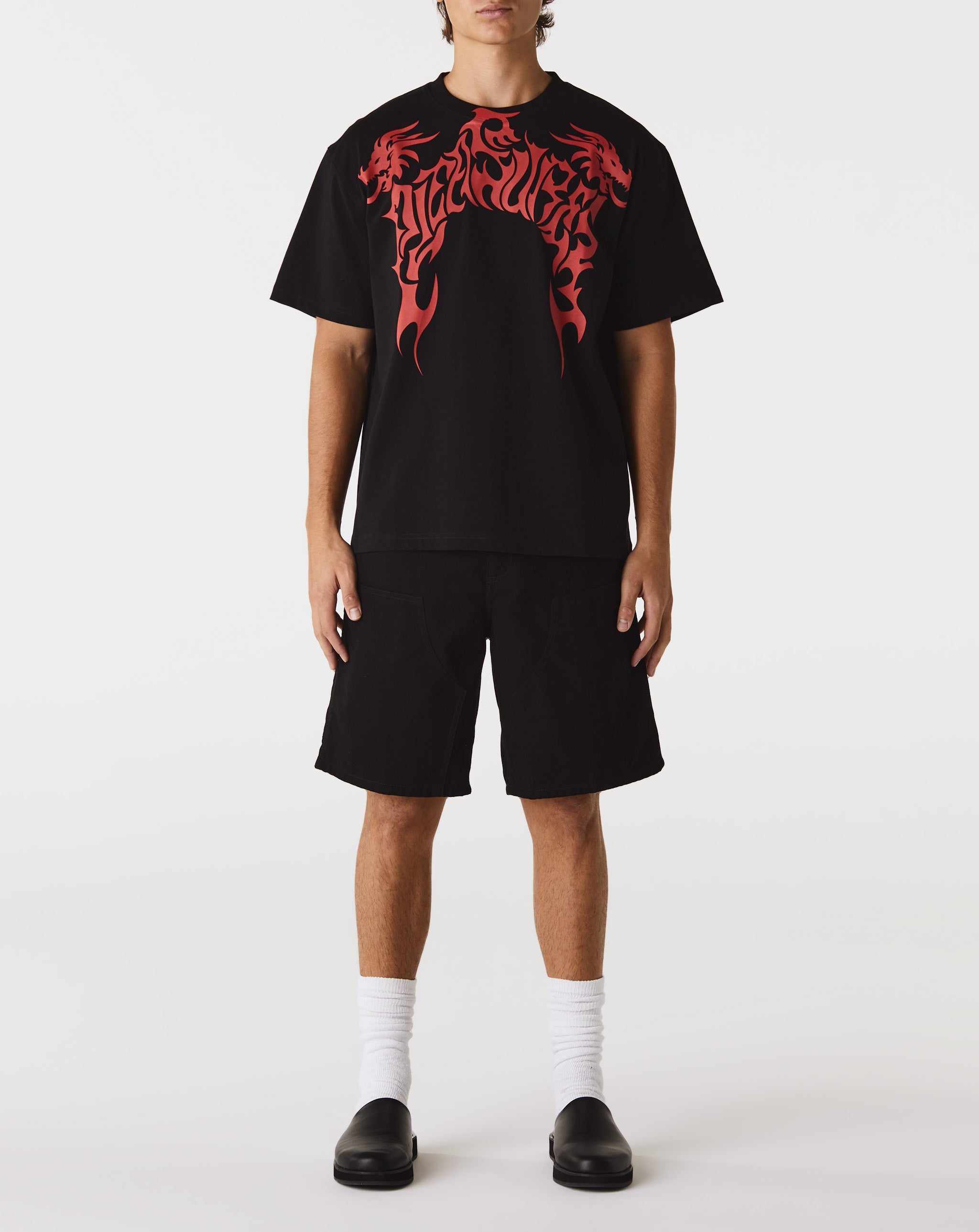 Pleasures Dragon Heavyweight T-Shirt - Rule of Next Apparel