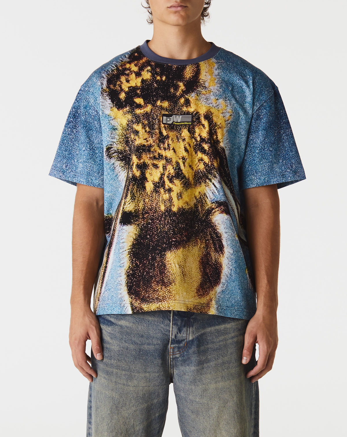 Pleasures Honeybee Heavyweight T-Shirt - Rule of Next Apparel