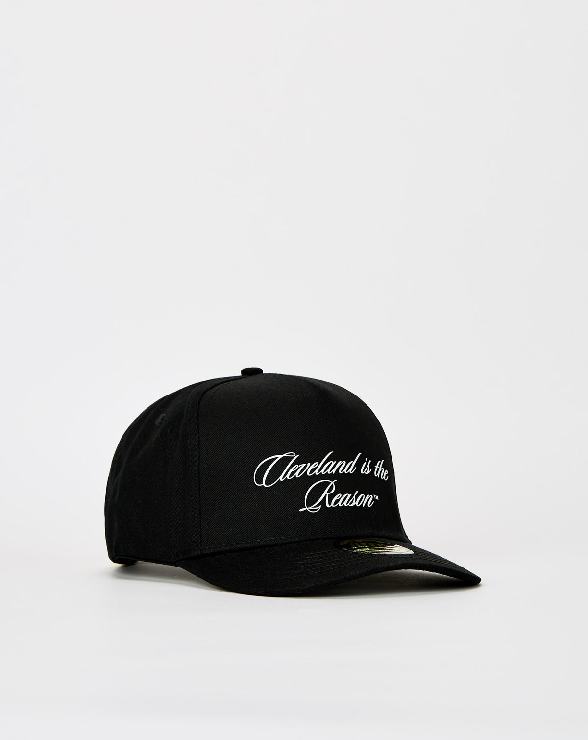 ilthy Cleveland Is The Reason Hat - Rule of Next Accessories